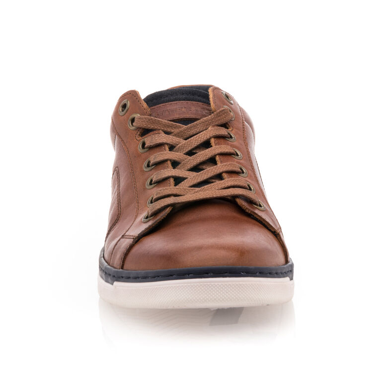 Kosarak / sportcipők Homme Marron