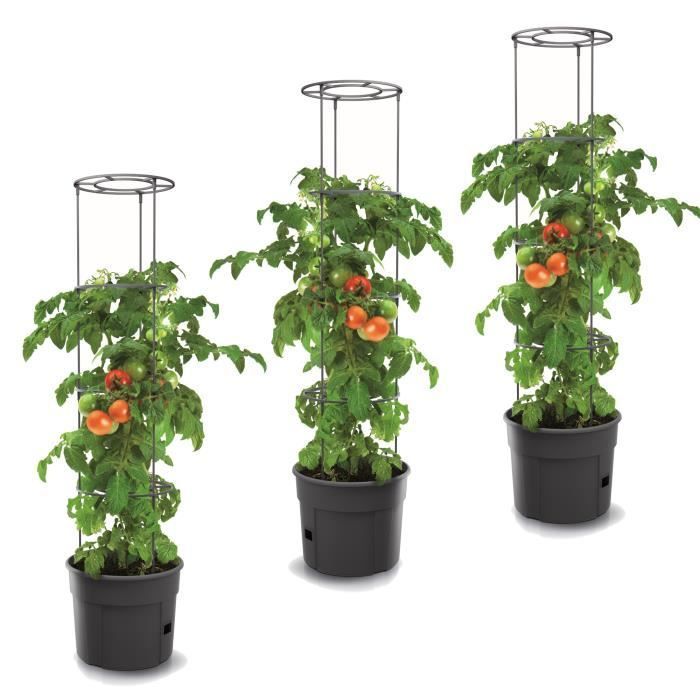 Lot de 3 pots à tomates 28 L avec support pour branches, planteurs à plantes, pour légumes, jardinières aux fraises et concombres