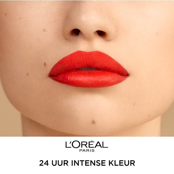 L'Oréal Paris Infaillible 24H 312 Incessant Russet Lipstick<br>