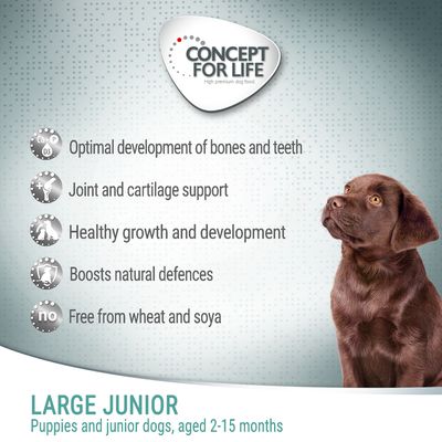 Concept pour la vie Large Junior