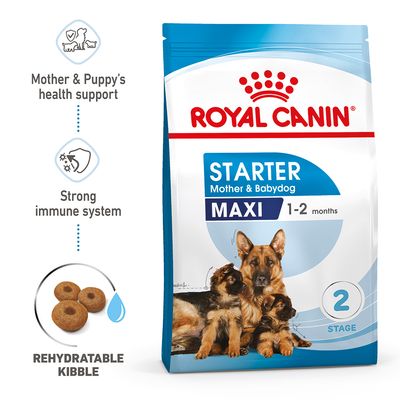 Royal Canin Maxi Starter Mor & Babyhund