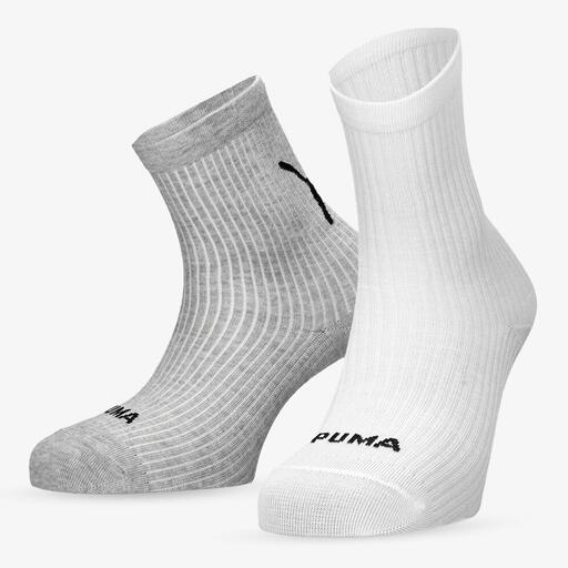 Puma Cat