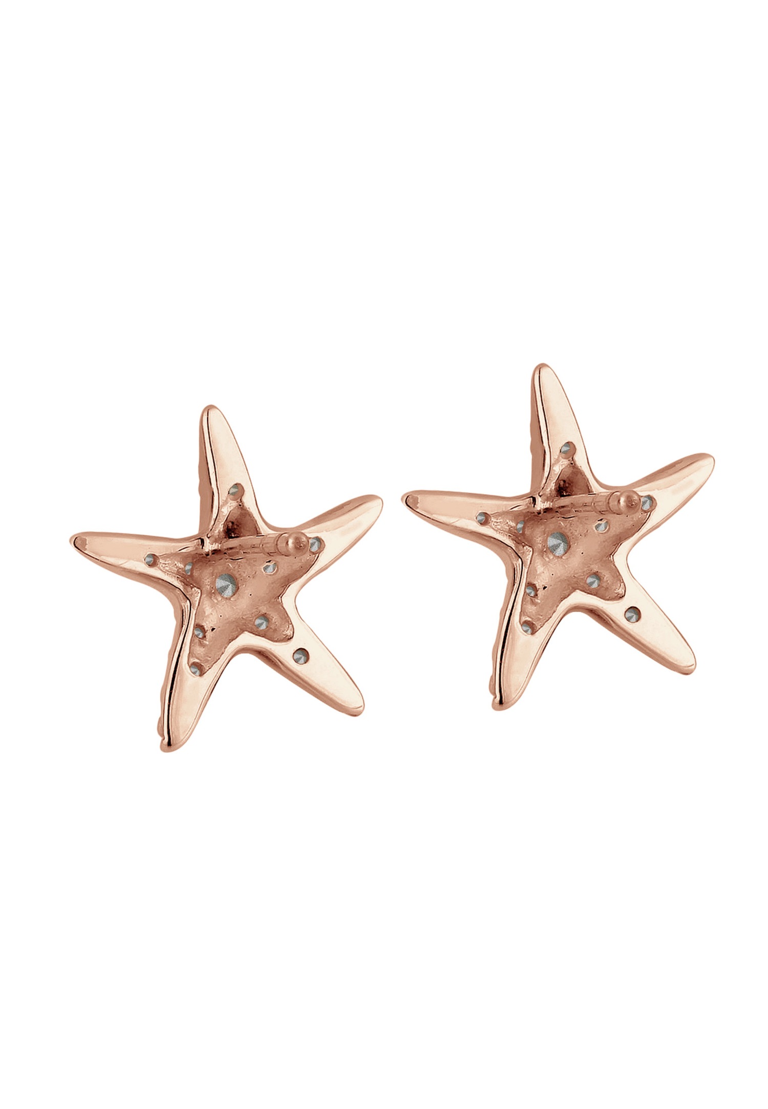 Elli Femmes Clous d'oreilles Étoile de Mer Plage avec Cristaux en Argent Sterling 925