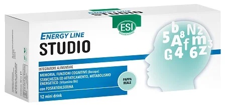 ESI Esi Energy Line Studio 12Mini