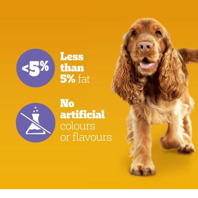 Suplementos Multivitamínicos para a Digestão da Pedigree