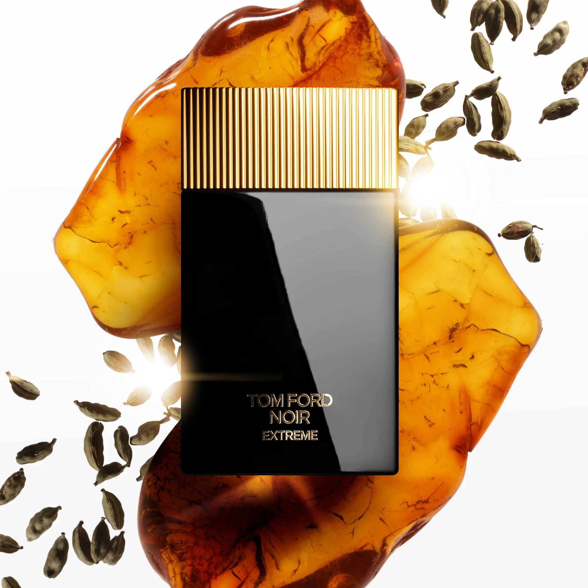 Noir Extreme EdP 50 ml - TOM FORD