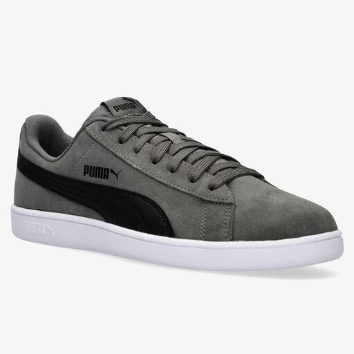 Puma Sus