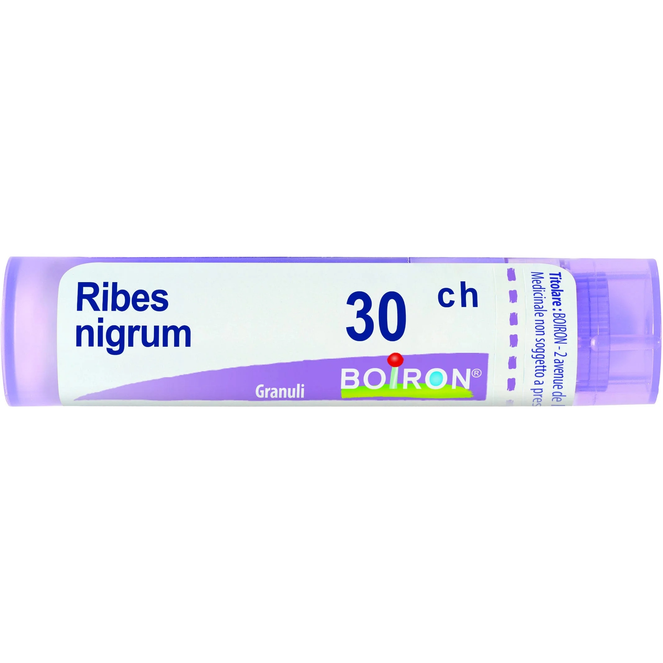 BOIRON Boiron Ribes Nigrum 30 CH Granulés