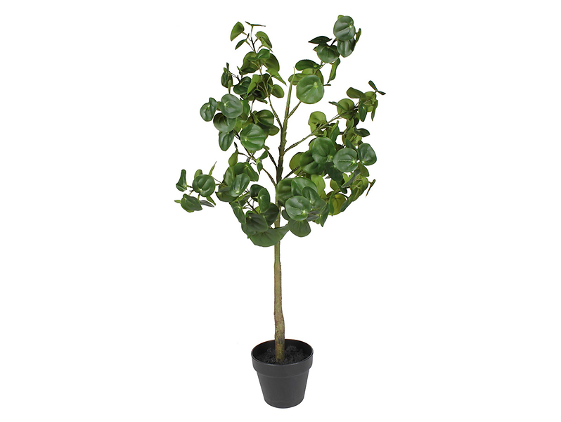 Sztuczna roślina pilea 90 cm