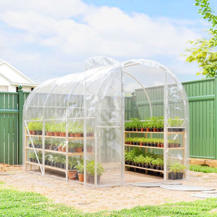 Serre de jardin tunnel - Outsunny - 3 x 2 x 2 m 6 m² avec porte à charnières bâche en PE 150 g/m² pour Légumes Plantes Fleurs