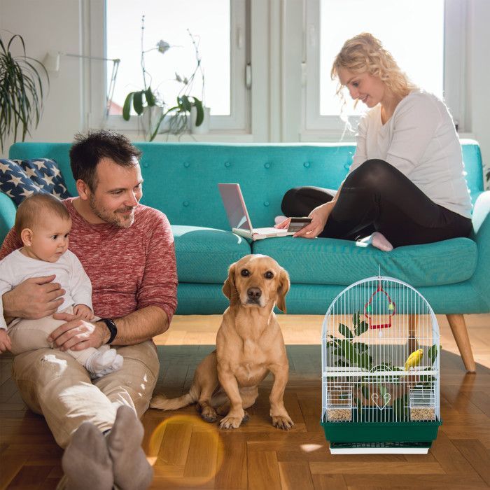 Relaxdays bird cage, aviary, for finches and canaries, with perch and feeder, H x W x D 49.5 x 34.5 x 28 cm, white/green
