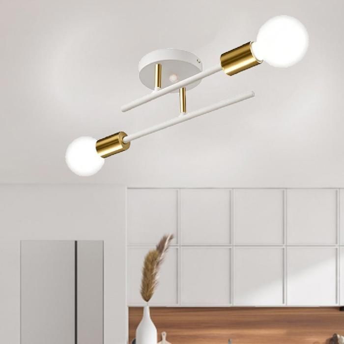 WOTTES Lustre Plafonnier/Applique Murale Industriel, 2 Lumières E27 Lampe de Plafond Rétro Vintage en Métal Blanc et Cuivre 1pcs