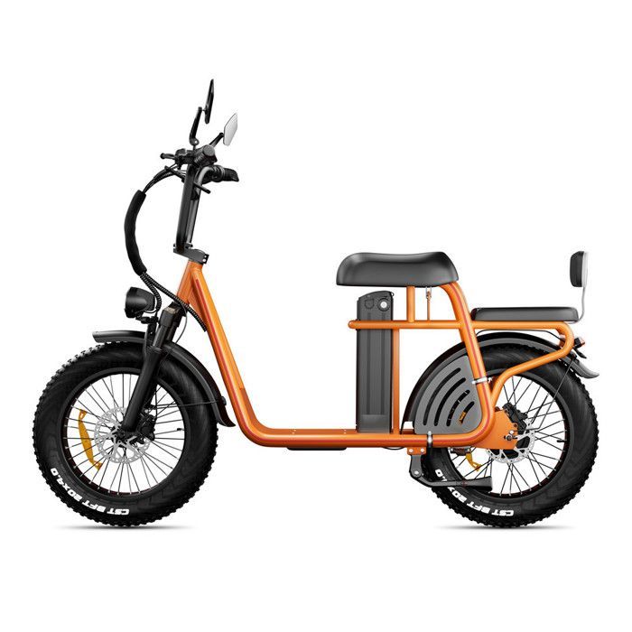 Patinete eléctrico Drvetion ET20 con freno hidráulico, 750 W, 48 V, 20 x 4,0