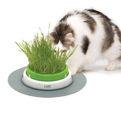 Catit Senses 2.0 Græssåmaskine