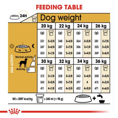 Royal Canin Dálmata Adulto