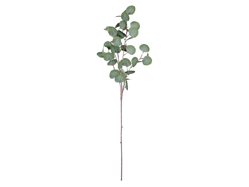 Eukaliptus gałązka 90 cm
