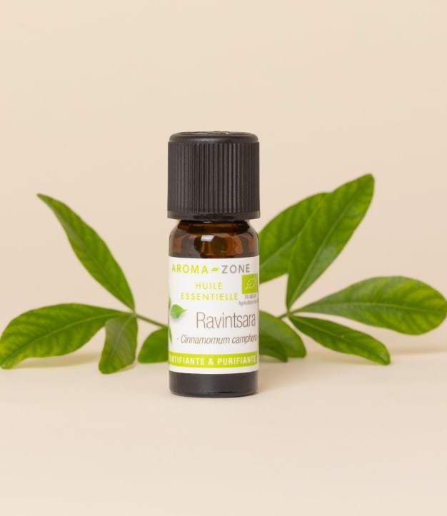 Ravintsara ätherisches Öl (Ravintsare) BIO 10 ml