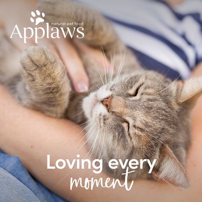 Applaws kycklingfoder för katter