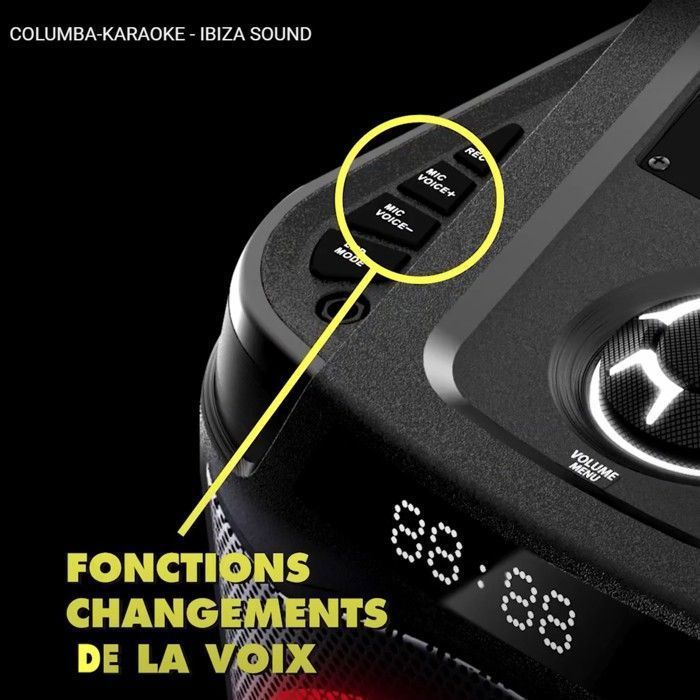 Ibiza COLUMBA-KARAOKE 1000 W Bluetooth USB Karaoke Kaiutin Valoilla - 2 Langatonta Mikrofonia - Mini Vedenpitävä Kaiutin