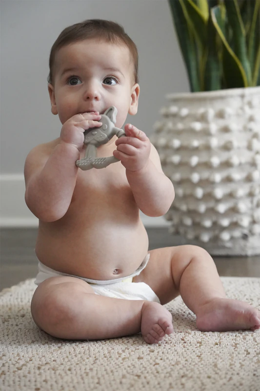Mordedor Melii Teethers