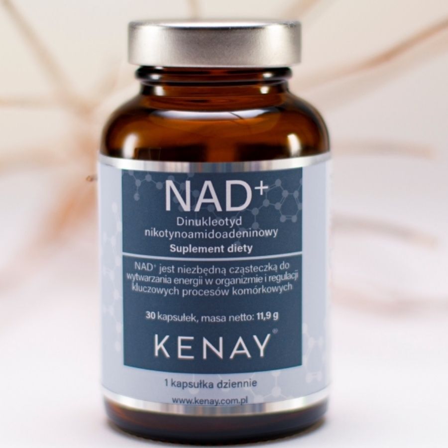 Kenay Nad+ Nicotinamidadenindinukleotid