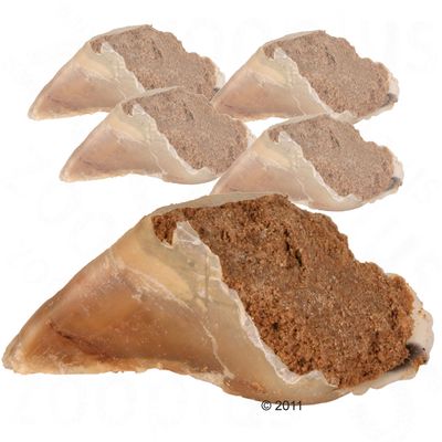 Trixie patarágó húspasztával