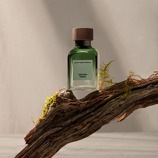Adolfo Dominguez Vetiver Terra