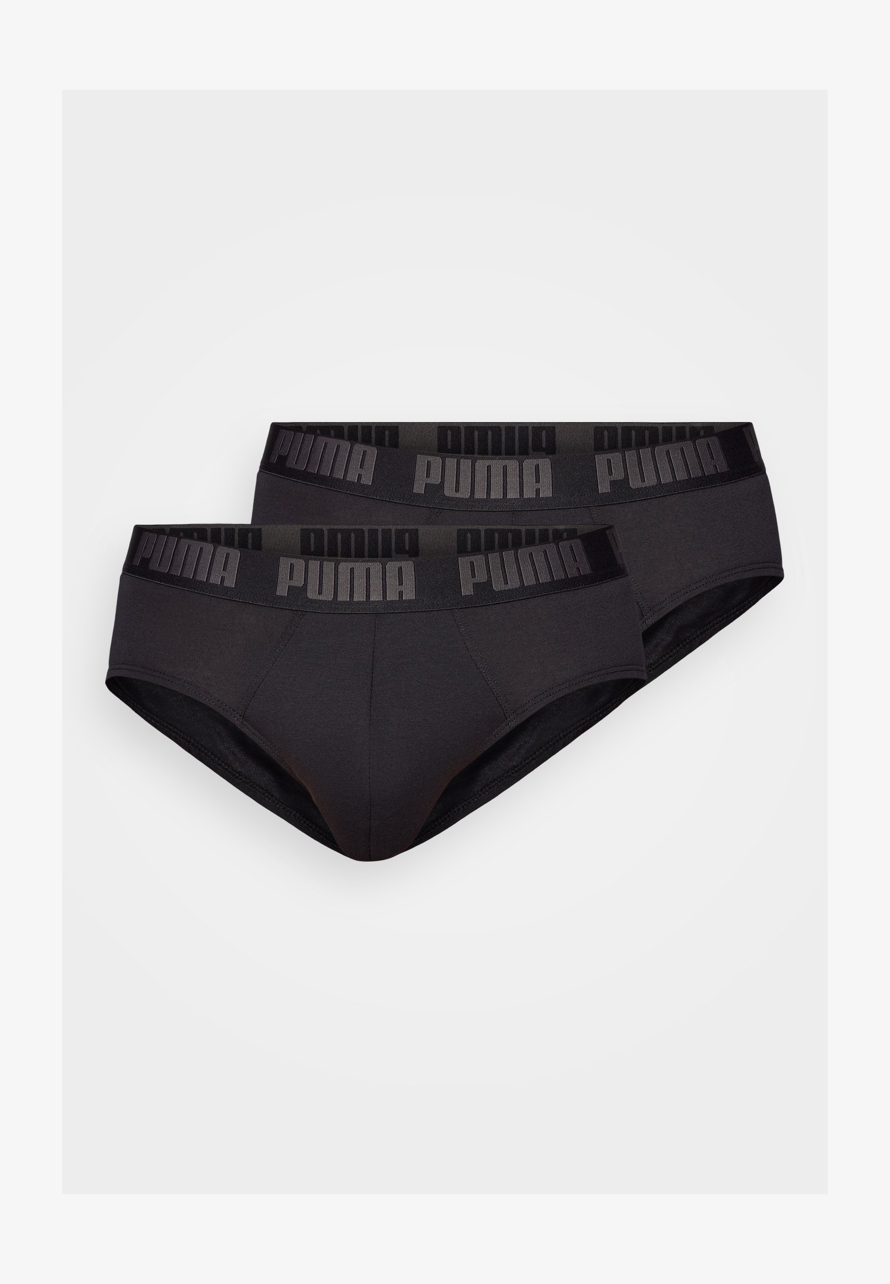 Puma slips