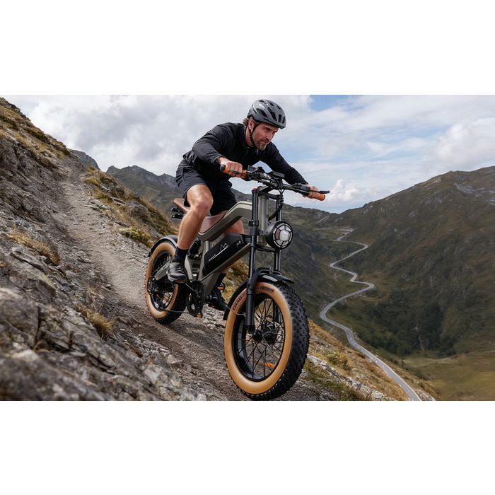 Vélo électrique - DYU - M20 - Moteur 1000W - Batterie 48V  - 18.2Ah - Pneus 20x4,0