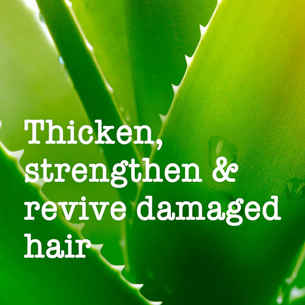 Maui Moisture Thicken & Restore+ Bamboevezel Conditioner
