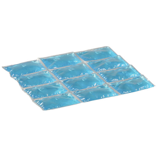  Pacote Flexi Freez Pequeno Acumulador de Frio