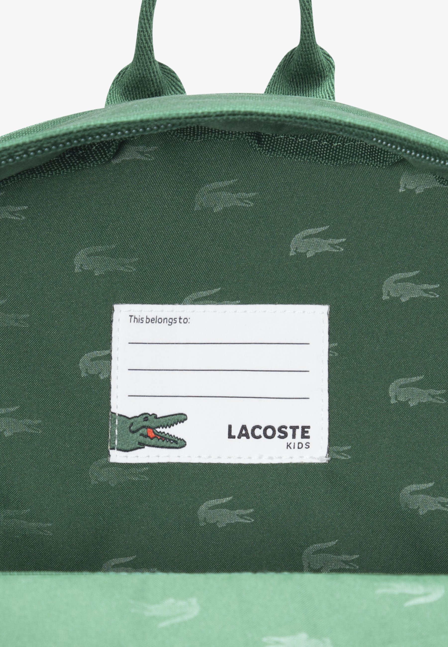 Lacoste CORE SOLID - Schultasche - grün