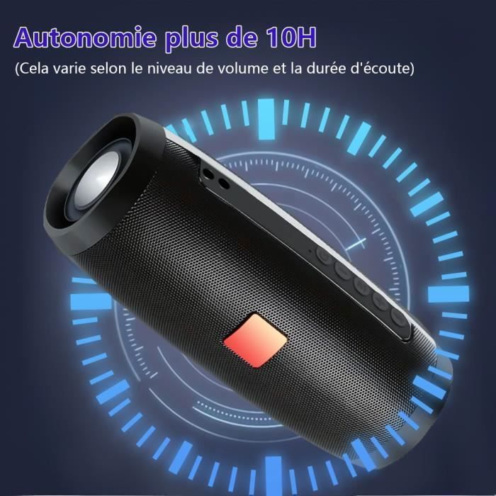 Enceinte Bluetooth Portable,Surround Stéréo 360°Sans Fil Enceinte, 1200mAh, IPX5 Port Clé USB-AUX-TF Carte Pour Soirées, Randonnées
