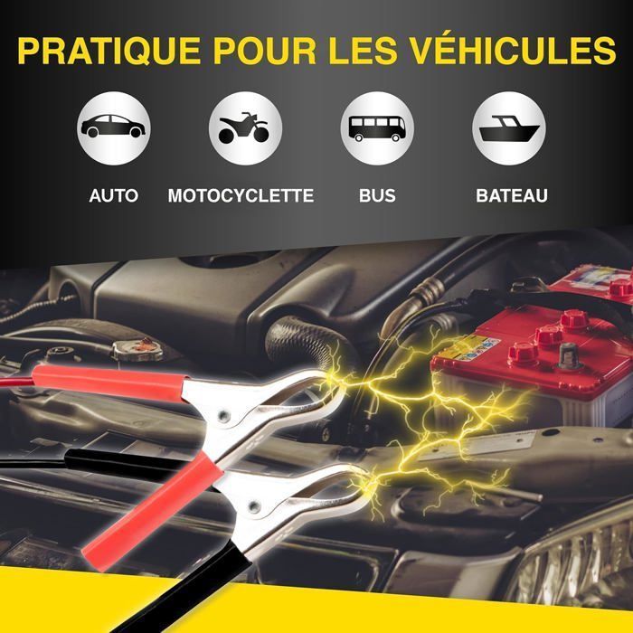 Chargeur batterie auto moto Maintien charge 6 et 12 volts