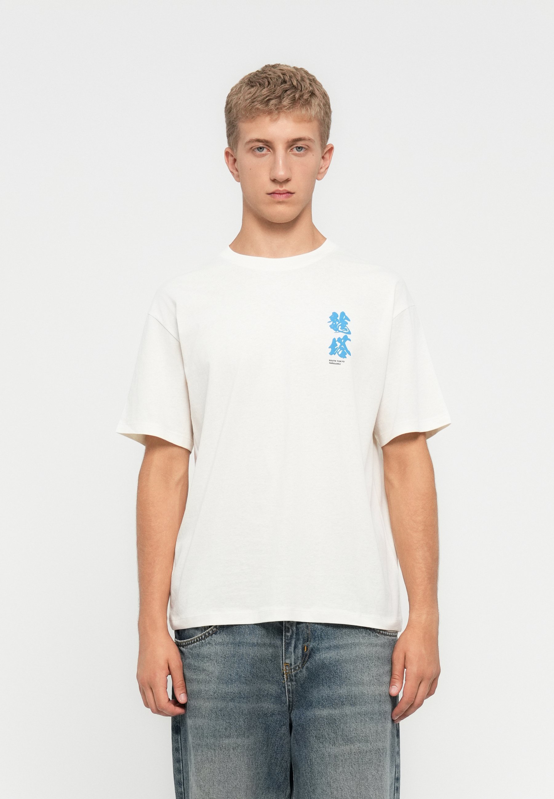 Jack & Jones JORDRAGON T-shirt met ronde hals - T-shirt met print - reiger