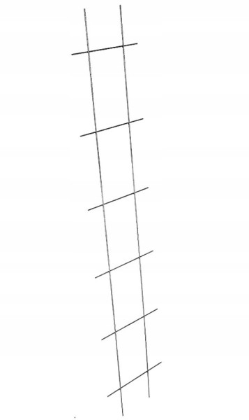 Drabinka Na Kwiaty Metalowa Pergola Podpora 30x150