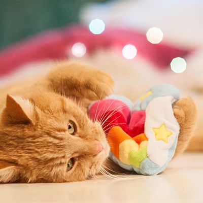 Aumüller Regenbogenherz Katzenspielzeug