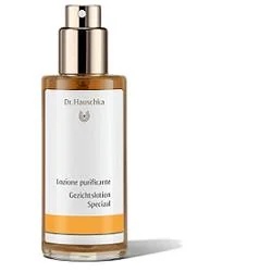 DR. HAUSCHKA Dr. Hauschka Loz Zuiverend 100 ml