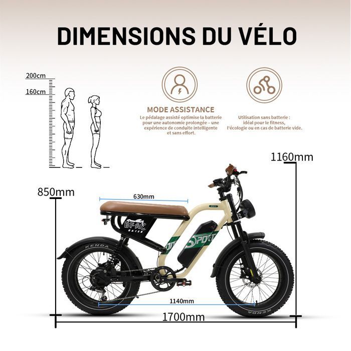 Maxtron W66 -Vélo Électrique VTT 20