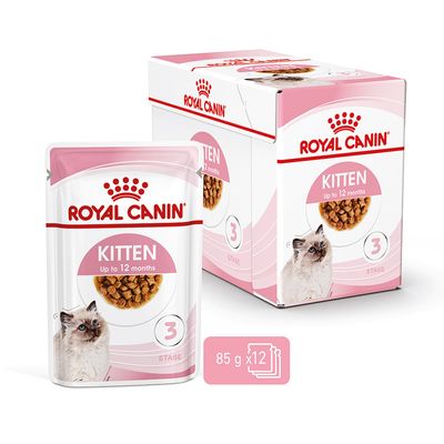 Royal Canin Kitten ao Molho