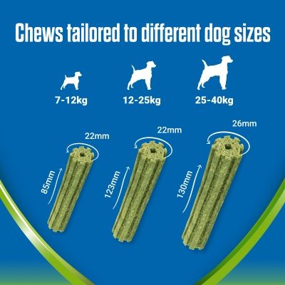 Purina Dentalife ActivFresh daglige tannpleiesnacks for små hunderaser