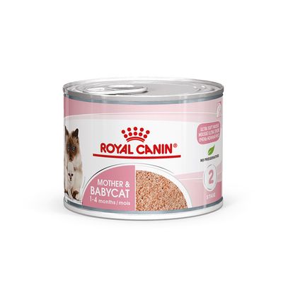 Εξαιρετικά απαλή μους Royal Canin Mother & Babycat