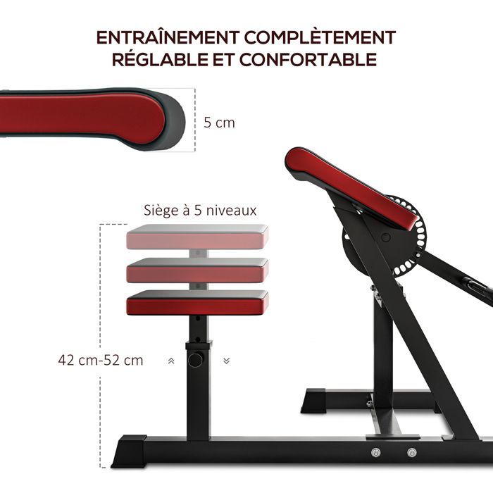 Bicepsviktsbänk - SPORTNOW - 2-i-1 - 5-stegs justerbar sitthöjd - Hantelhållare - Maxbelastning 120 kg