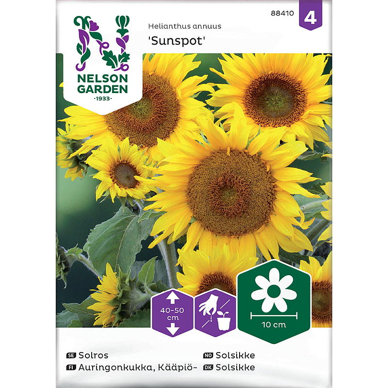 Graines de tournesol Nelson Garden Seeds Sunspot