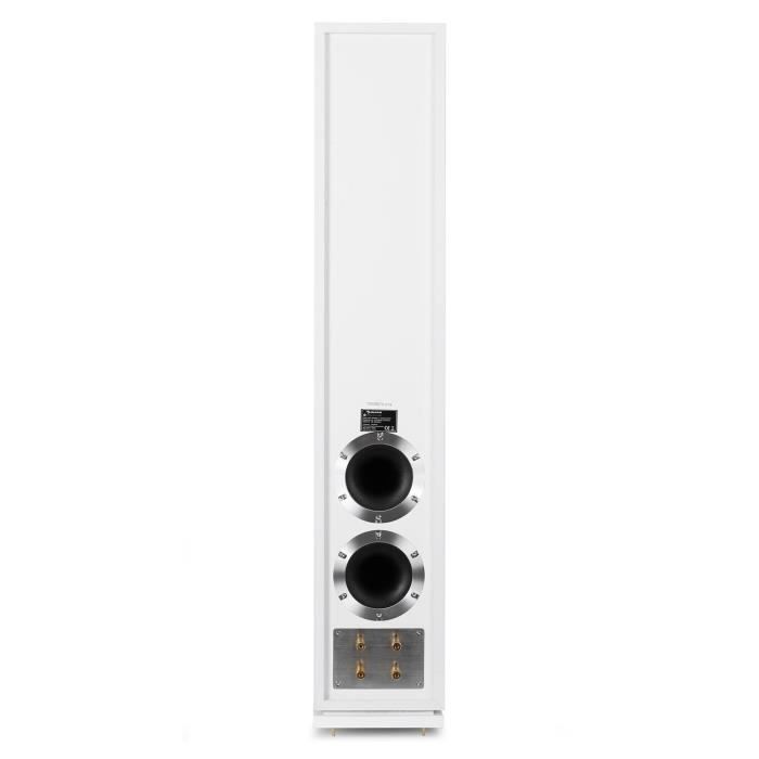 auna Linie-600-WH - Par de altavoces de suelo pasivos de 3 vías con dos subwoofers de 6,5