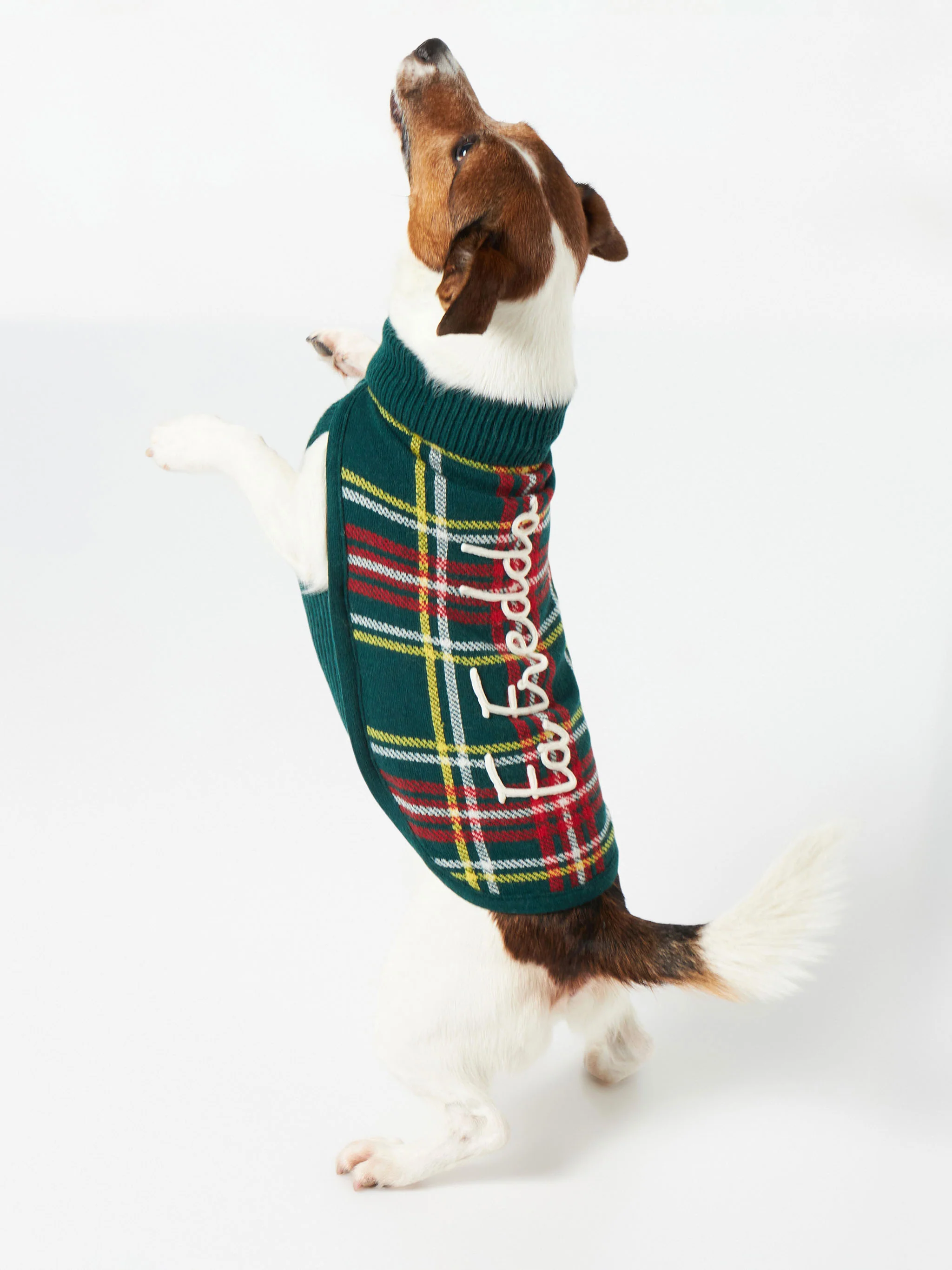Trui voor honden met Schotse ruitprint