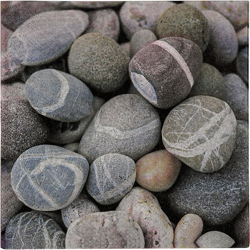 Vie Eco -lautasliinat 20 kpl 33x33 cm