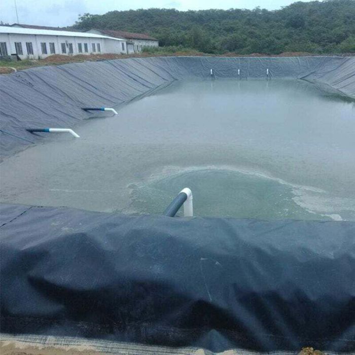 Telo nero per laghetto, 3 m x 3 m, ideale per laghetti, ruscelli, fontane e giardini acquatici (2 × 3 m)