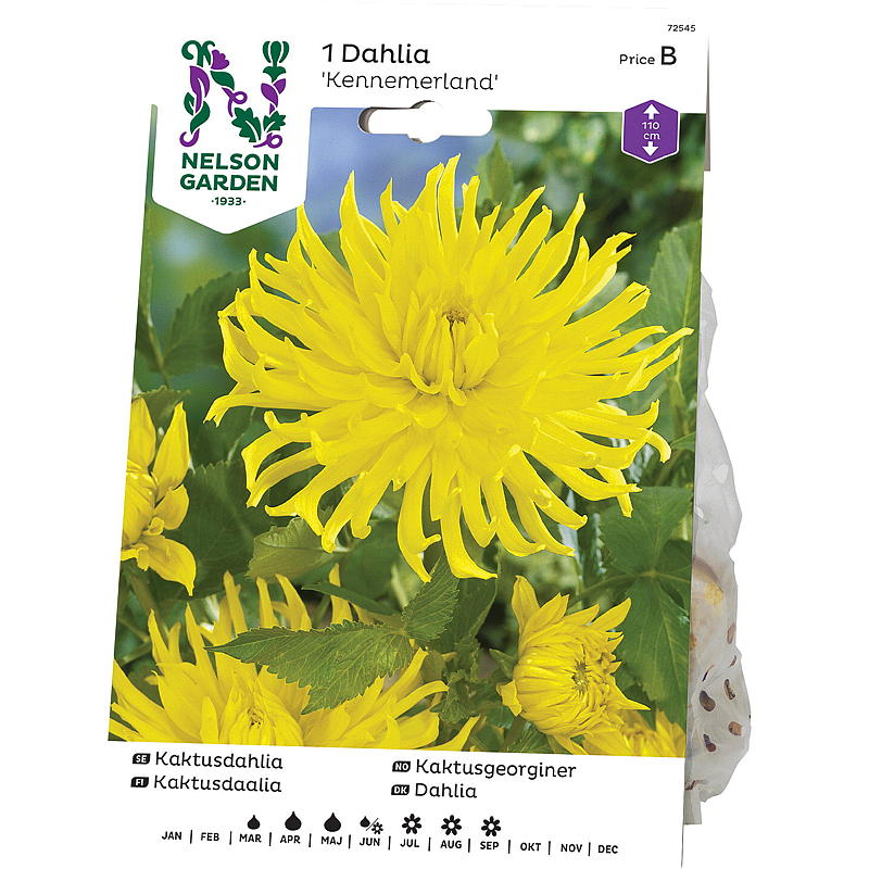 Nelson Garden, Georgie High, torta. Kennemerland, giallo