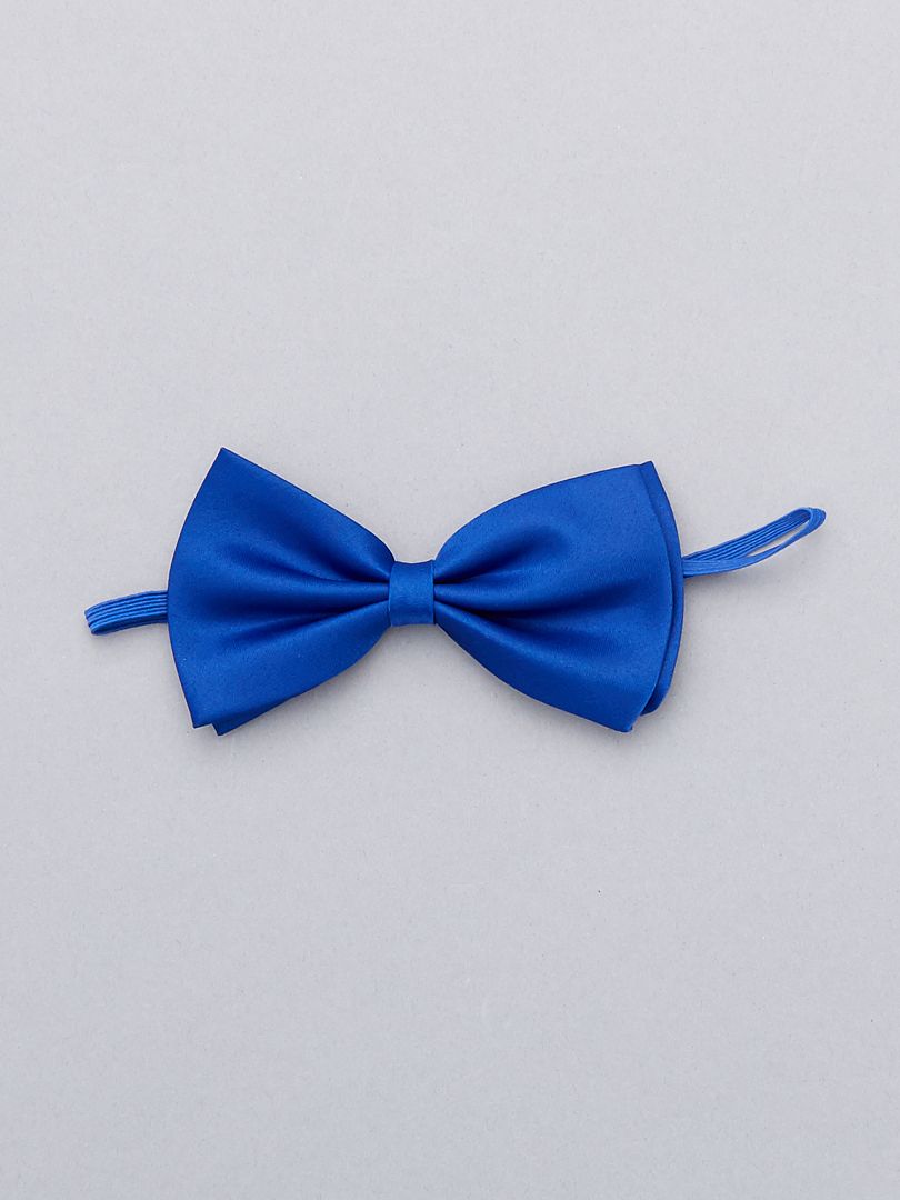 Effenkleurige vlinderdas - blauw
